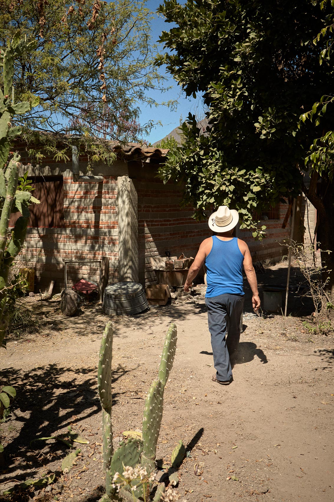 20150203_Oaxaca_1042-w