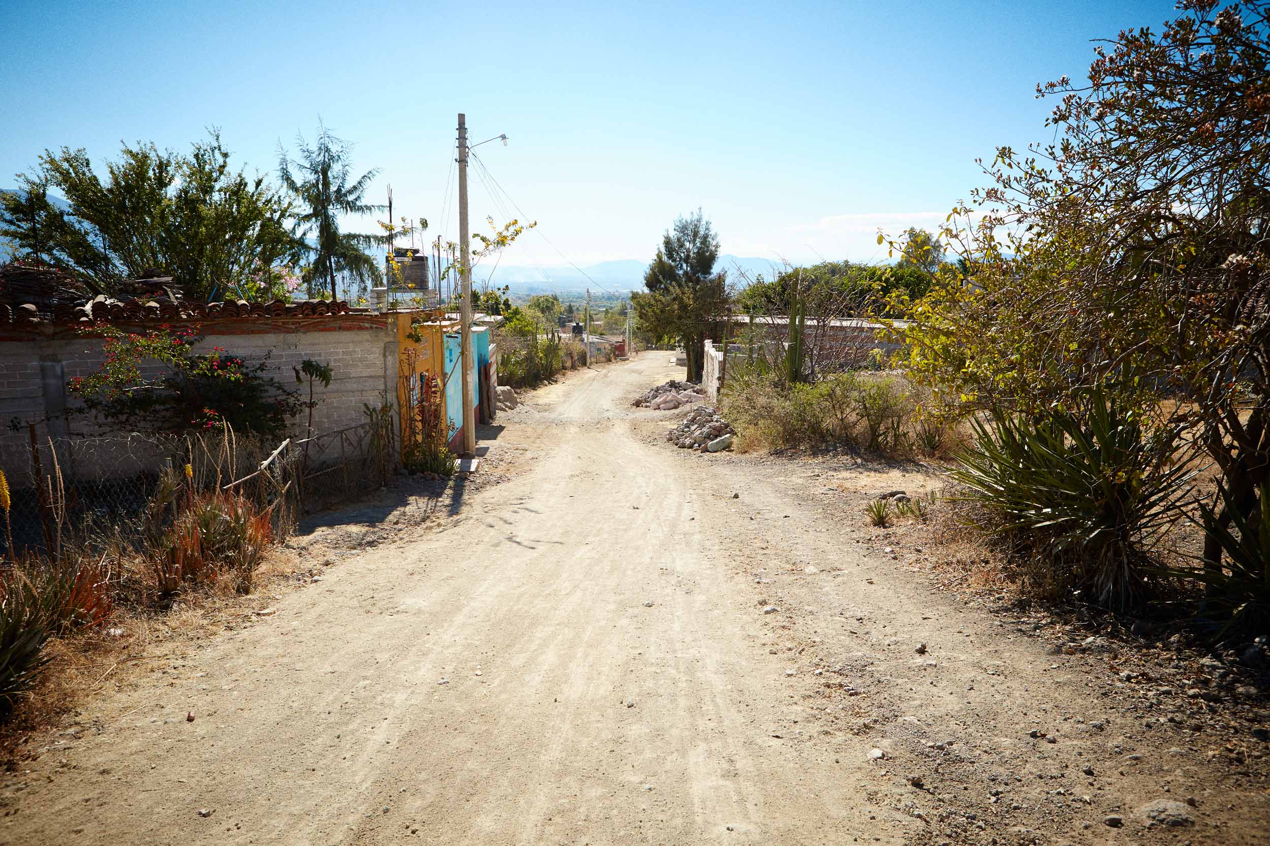 20150203_Oaxaca_1399-w
