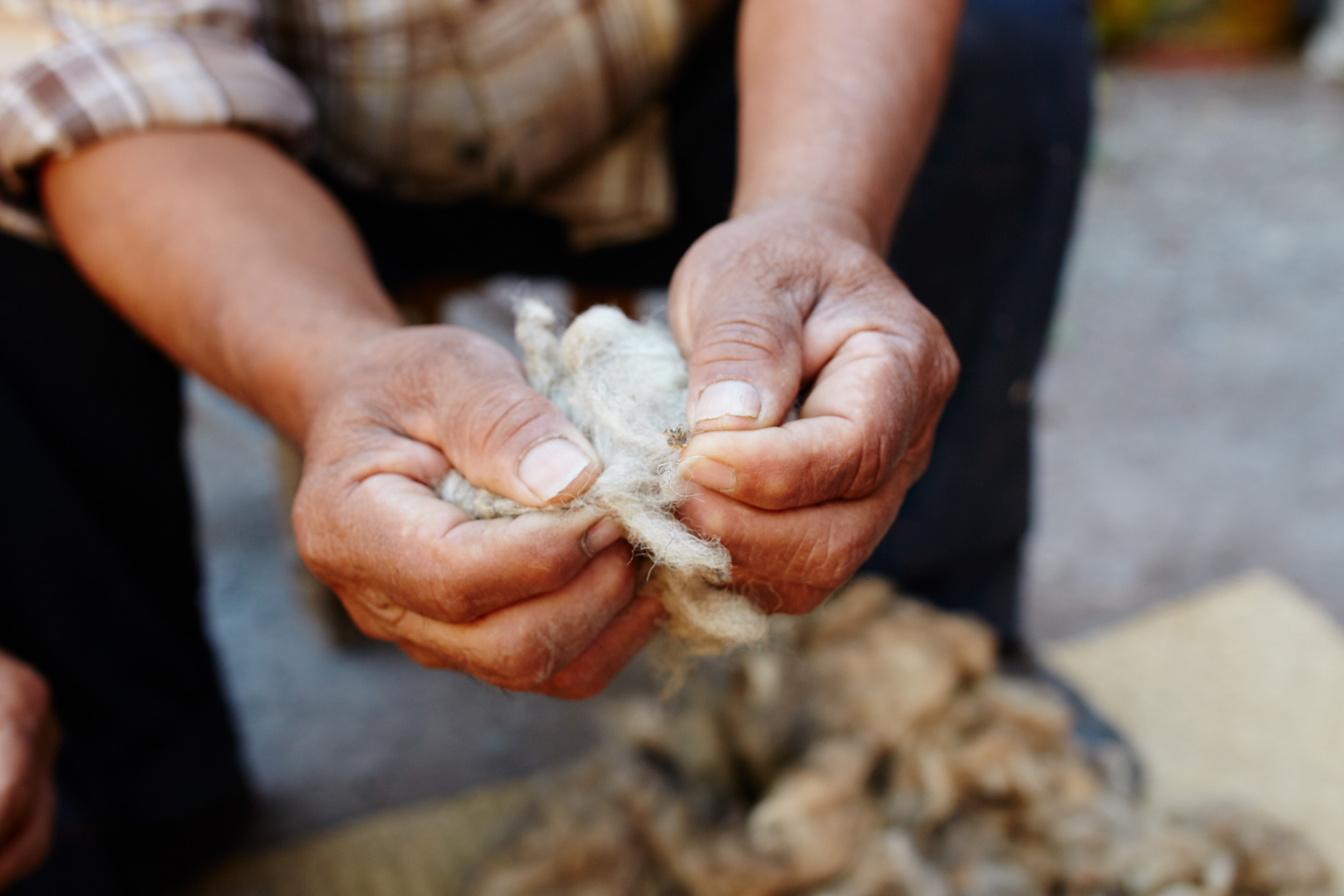 20150203_Oaxaca_627-w