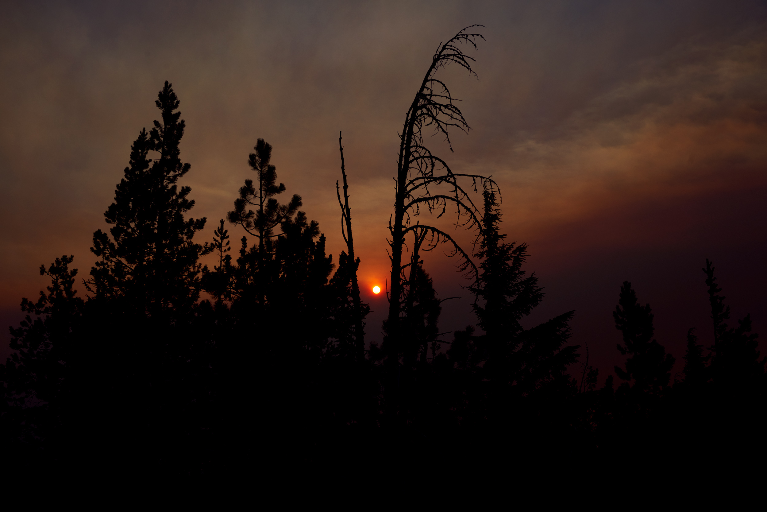 _DSC0537